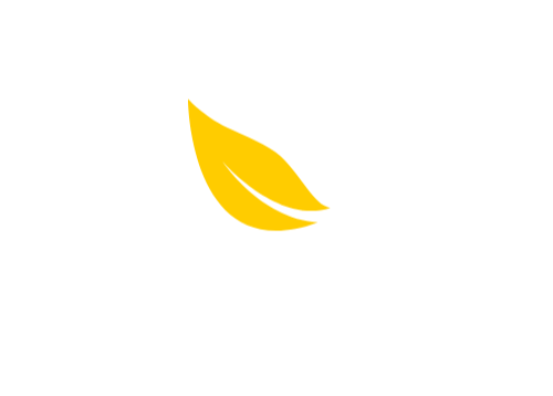 Vivaaya Tea